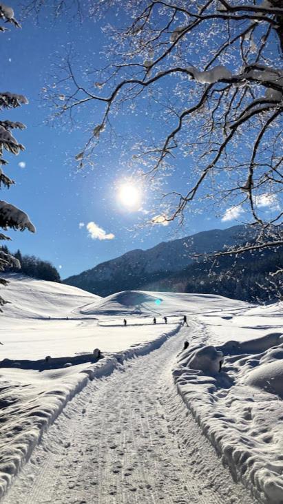 Schneiderhof, Chalet, Urlaub Auf Dem Bauernhof Ridanna Bagian luar foto